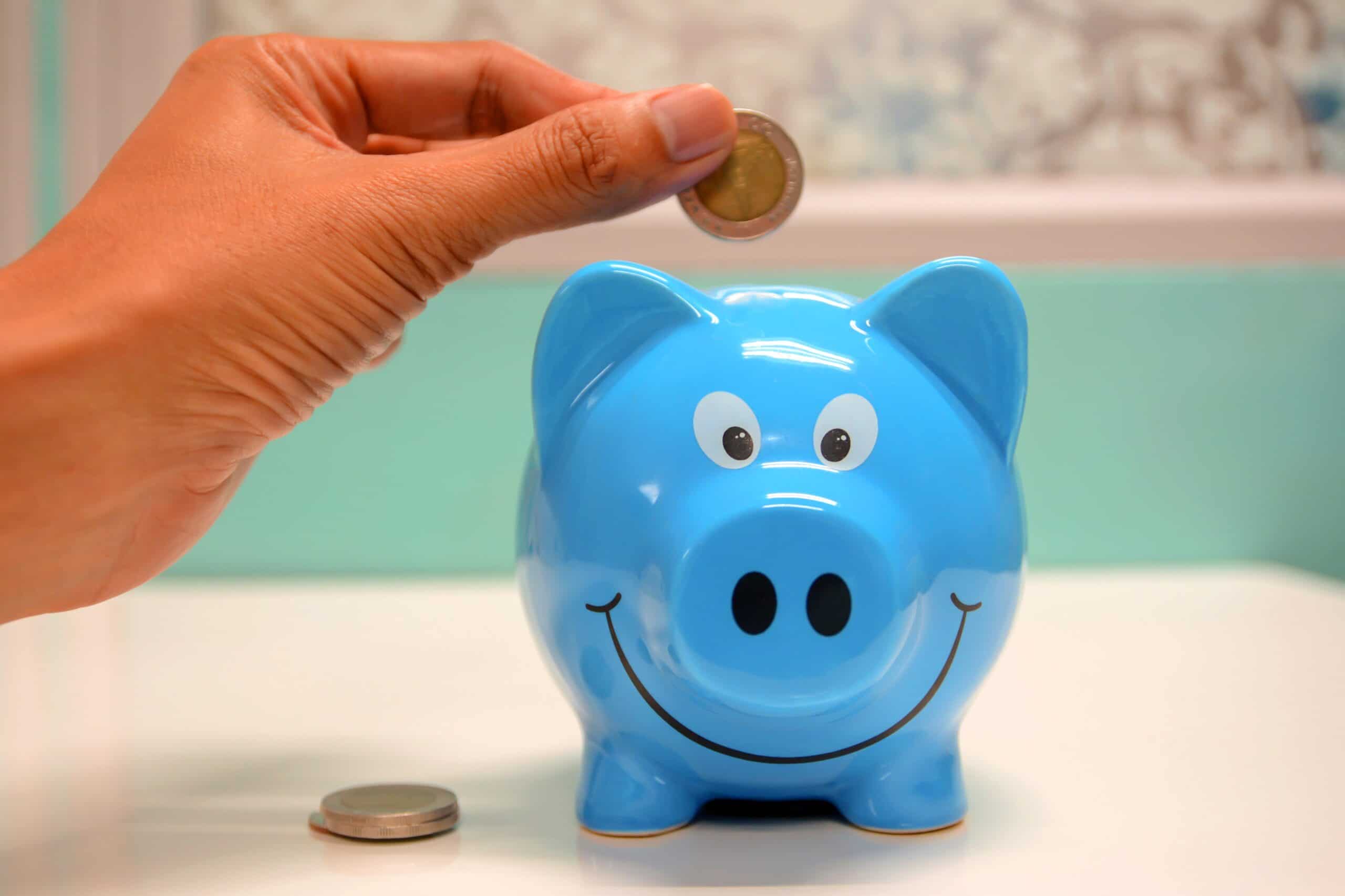Save money in piggy bank